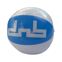 DNBA Beach Ball