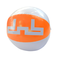 DNBA Beach Ball
