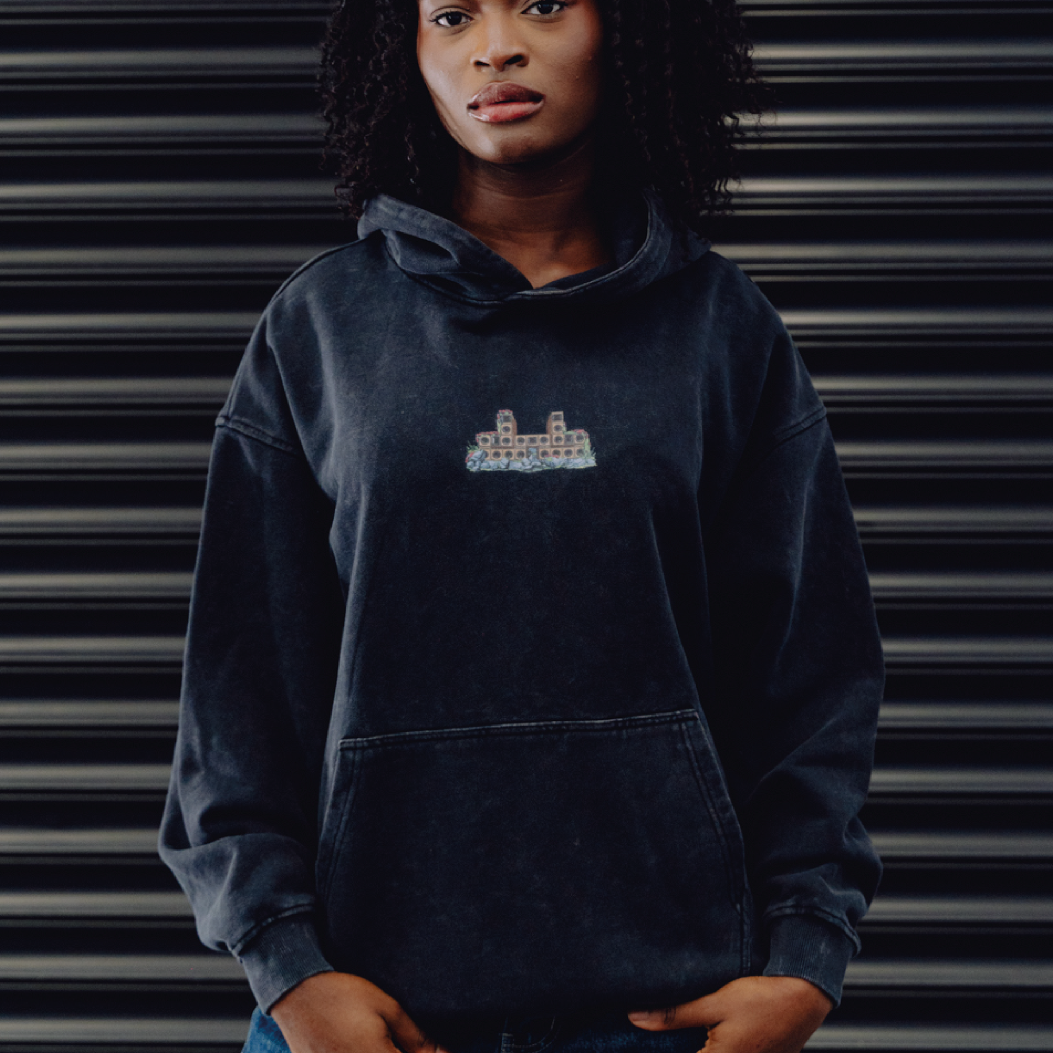 DNBA WDP Line Up Hoodie