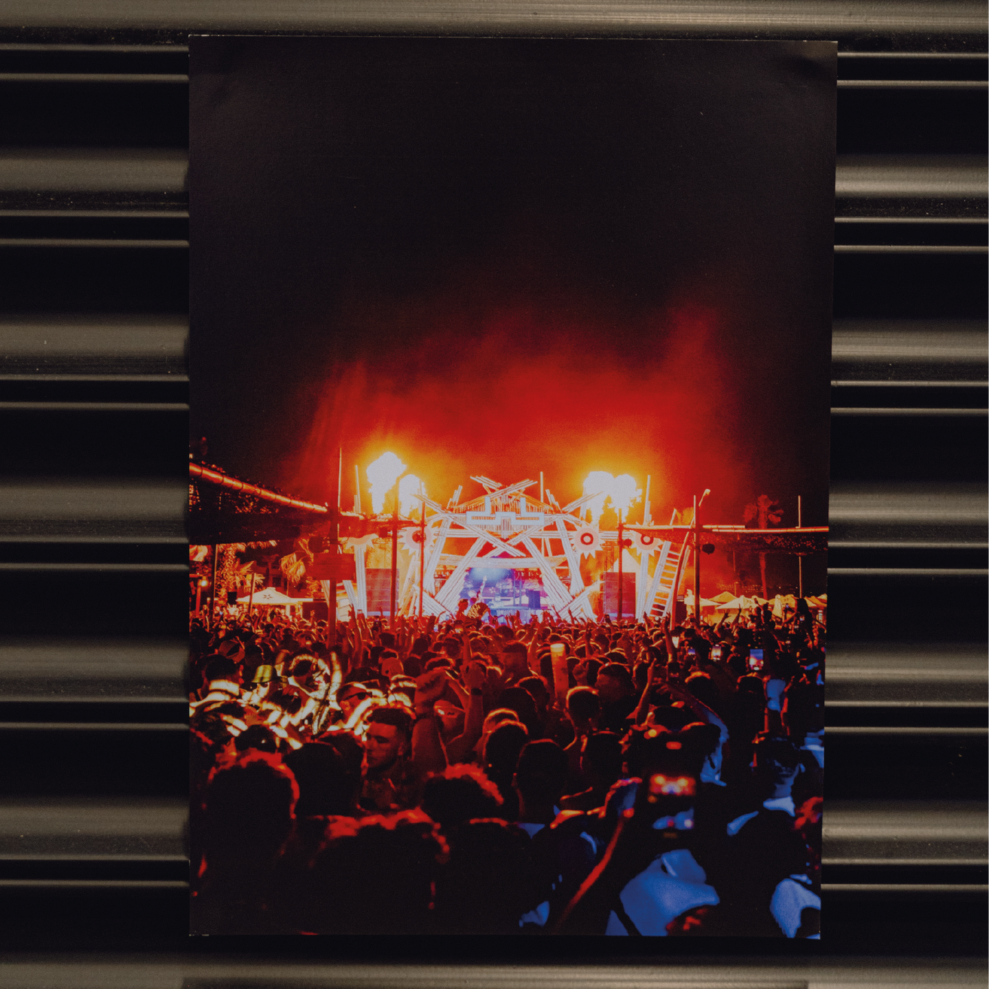 DNBA POSTER 01